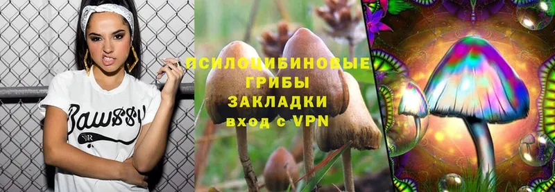 Псилоцибиновые грибы MAGIC MUSHROOMS  Калининец 